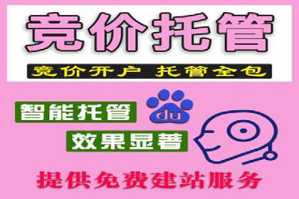 百度竞价入门必看：实操技巧与成功案例